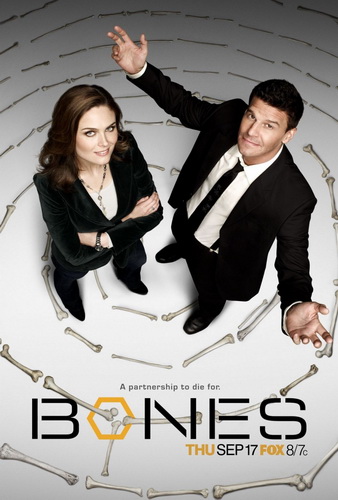 Кости (Сезон 1,2,3,4,5) / Bones Смотреть онлайн бесплатно